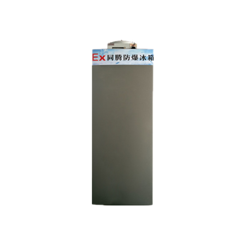 BL-200(LS90L)立式单门单温防爆冰箱